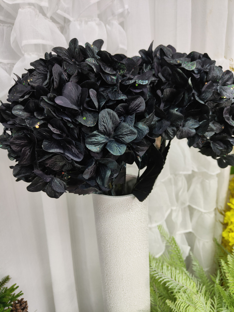 Hortensja gigant czarna 112cm