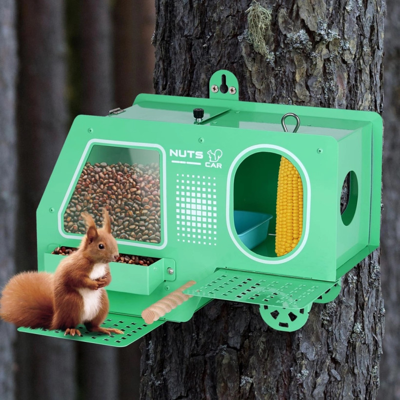 karmnik dla wiewiórek