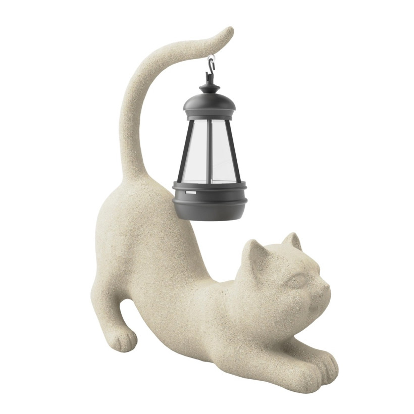 kot z lampionem solarnym