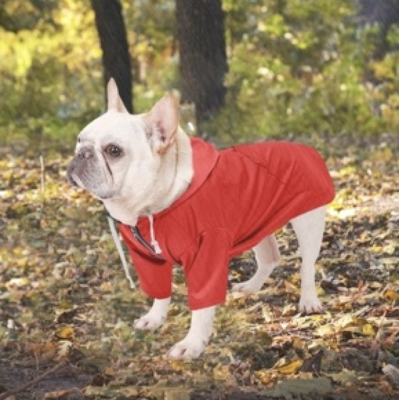 wodoodporny płaszcz dla psa rozmiar XS