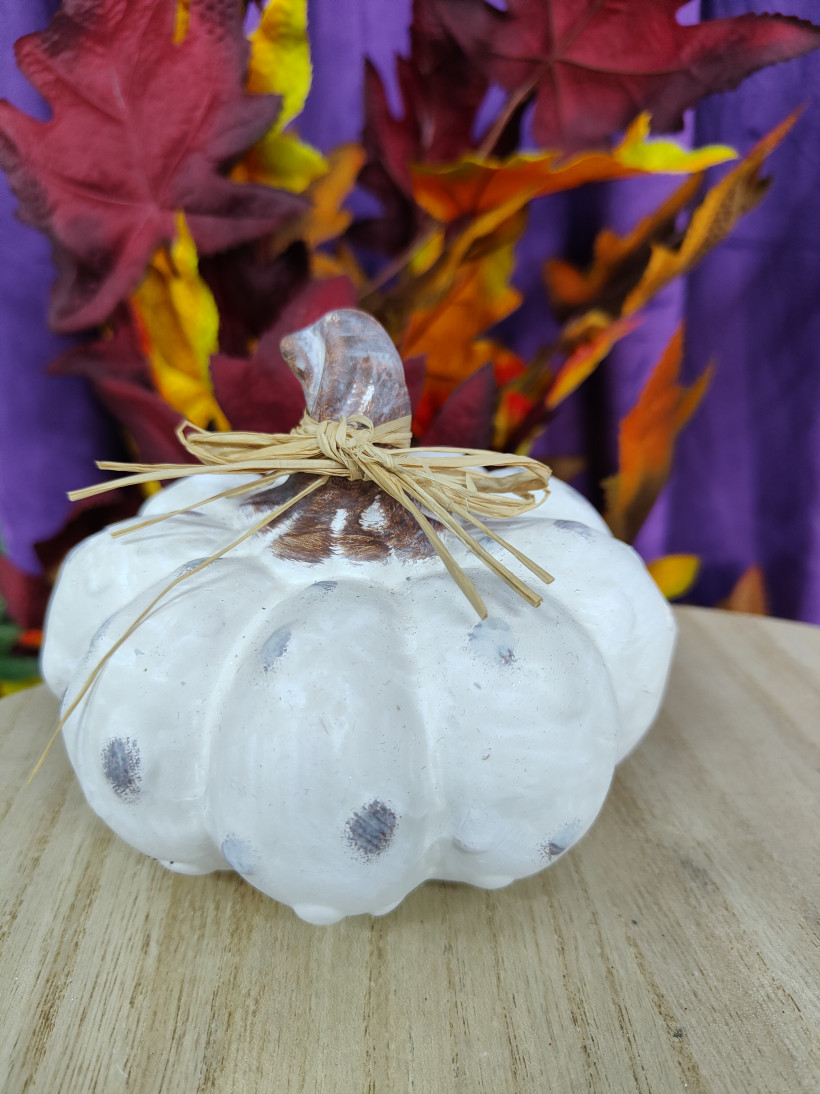 Se187 dynia kremowa 12/9 w kropki