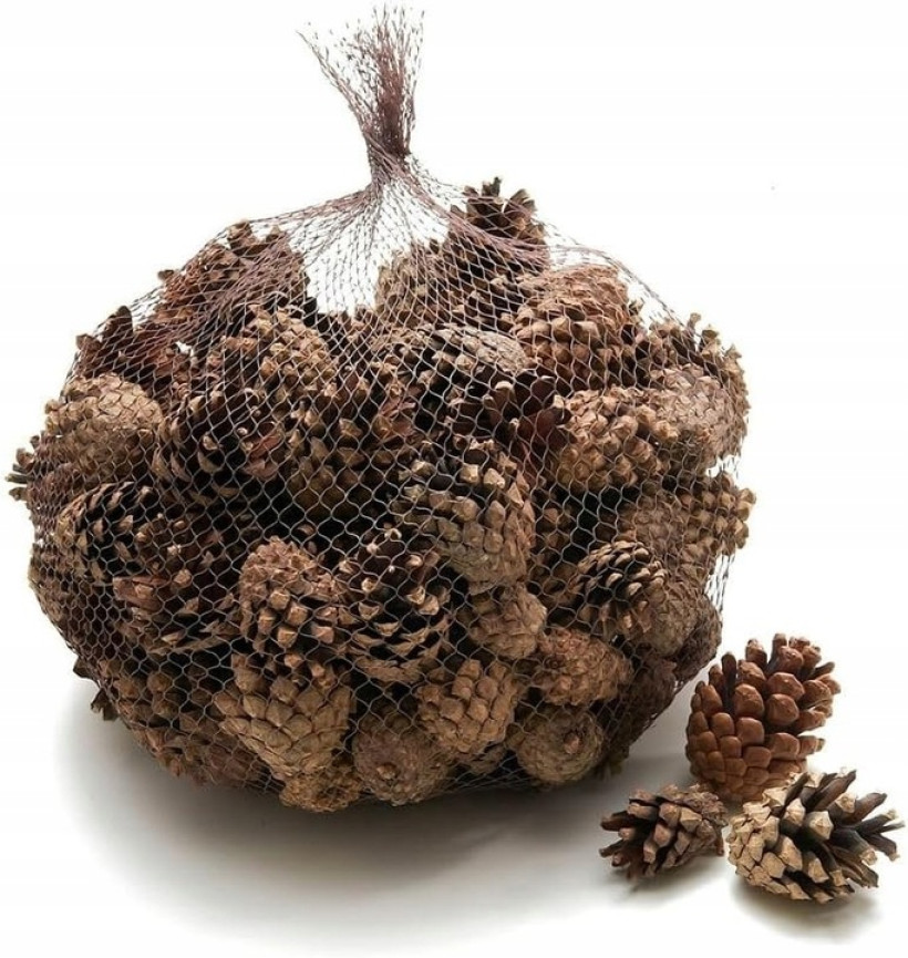 Szyszki naturalne 33 sztuki 5cm 