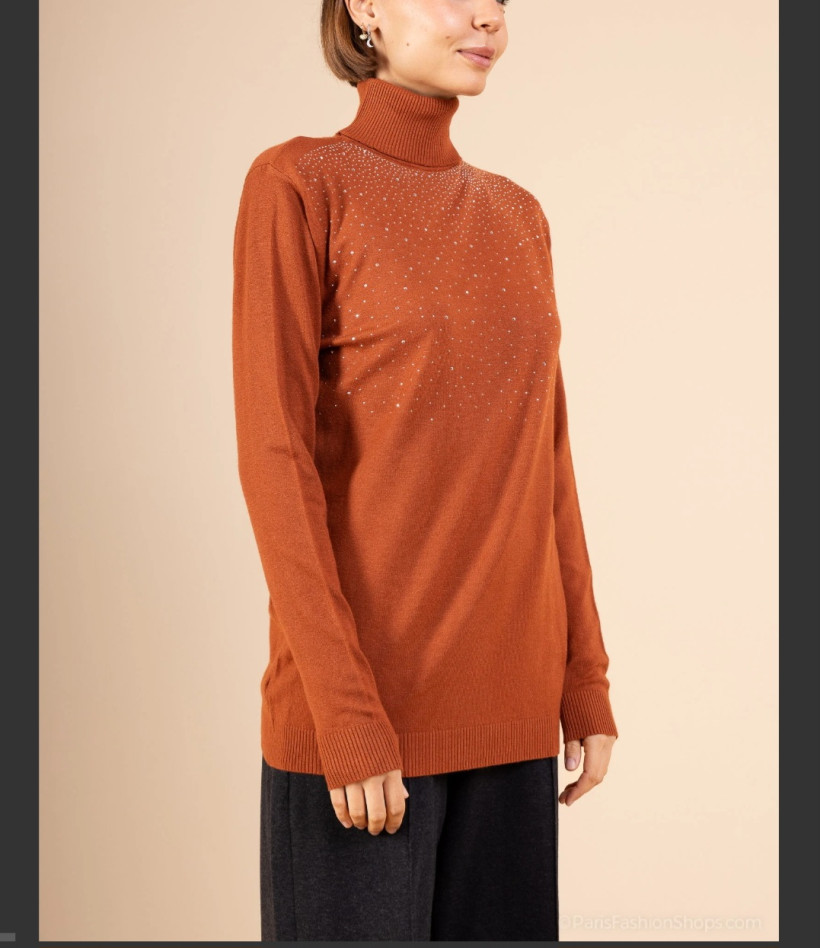 Col roulé uni à strass cachemire TU 36/46++