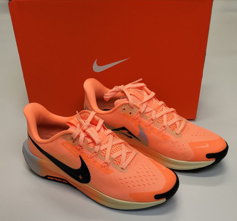 Buty Nike Pegasus 39