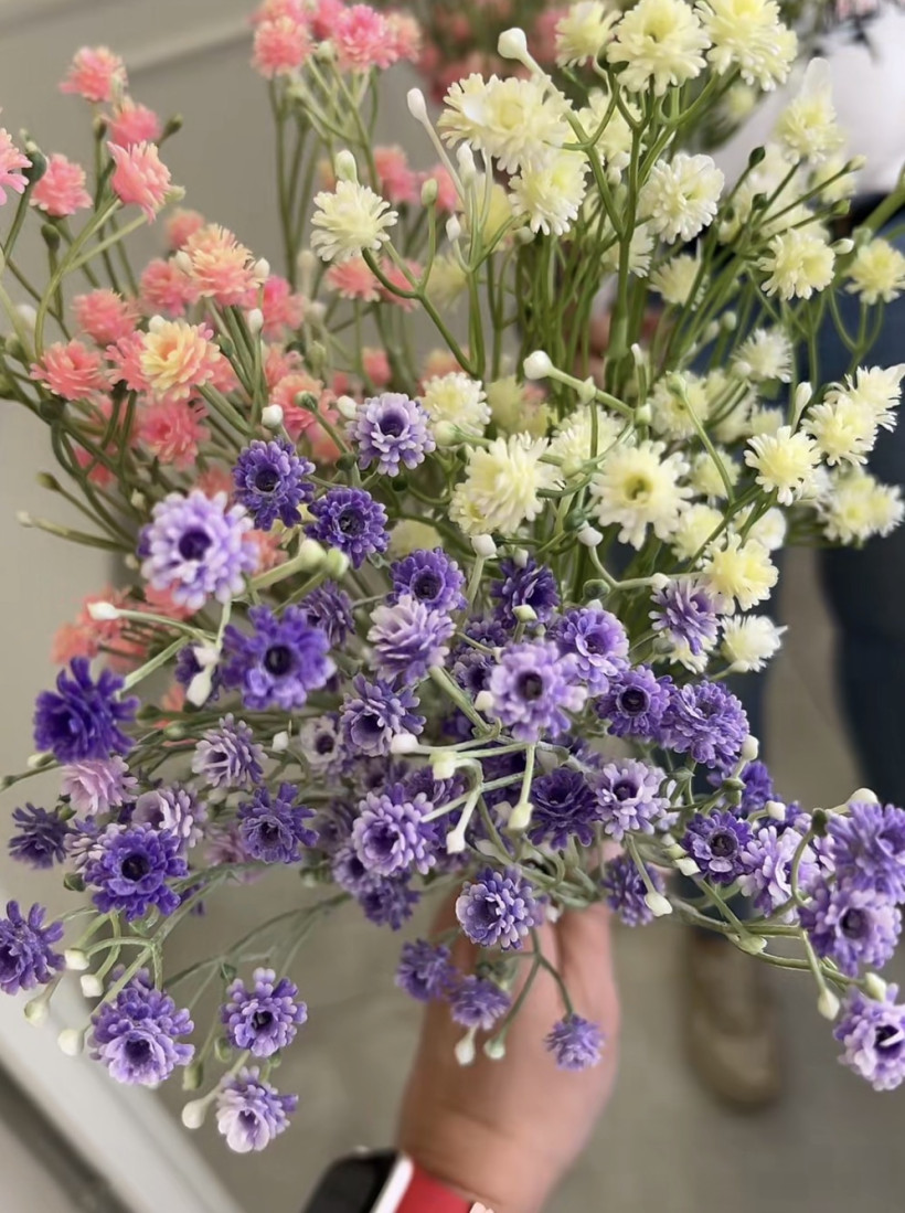 Kwiaty gipsówka 14184