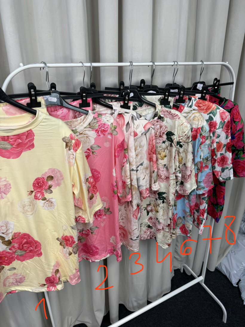 123587208-1.webp