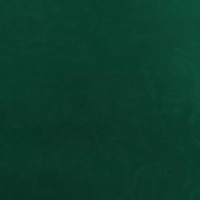 123878782-2.webp