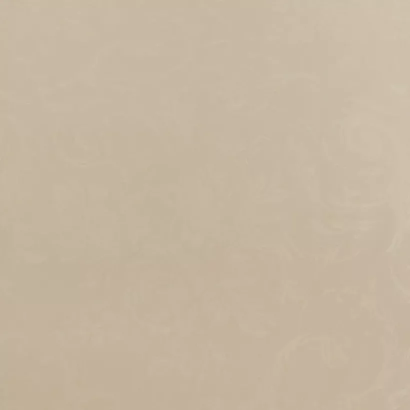 123878863-1.webp