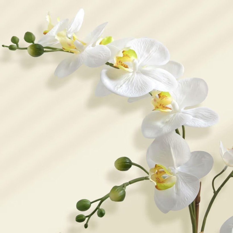 124062774-1.webp