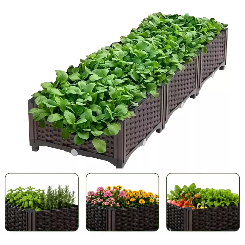 124158717-1.webp