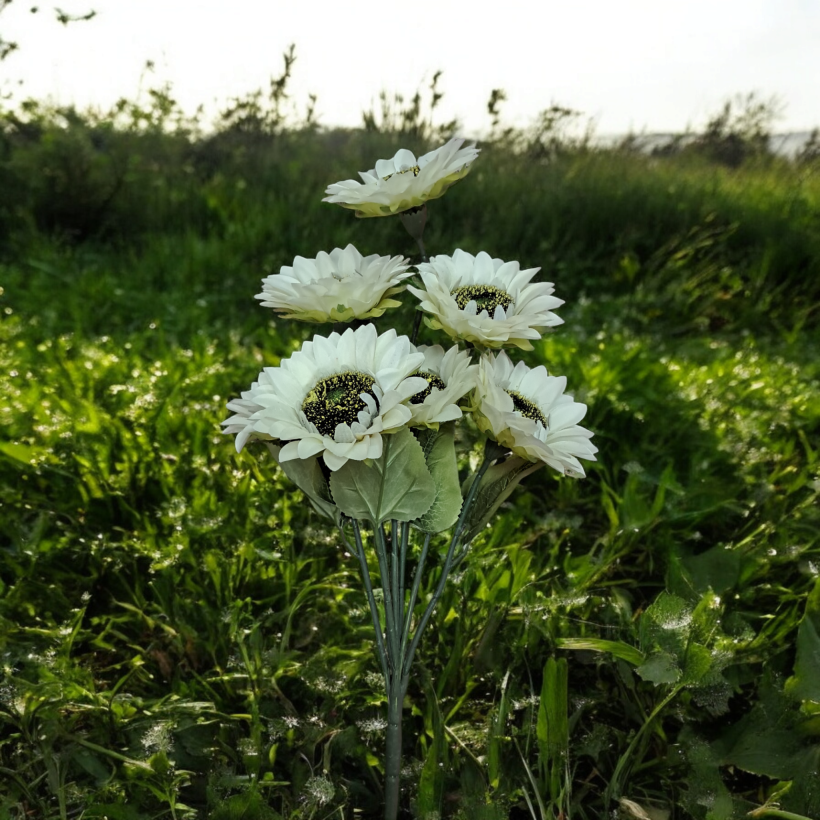1684865-0.webp