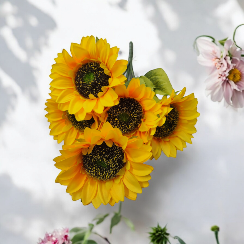 1685008-0.webp