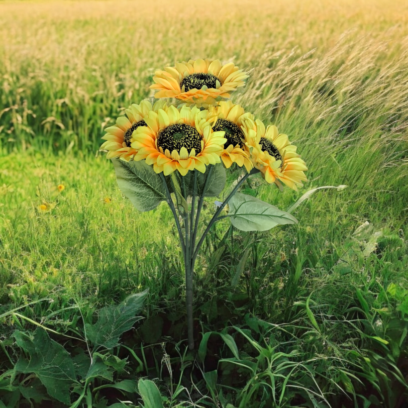 1685008-1.webp