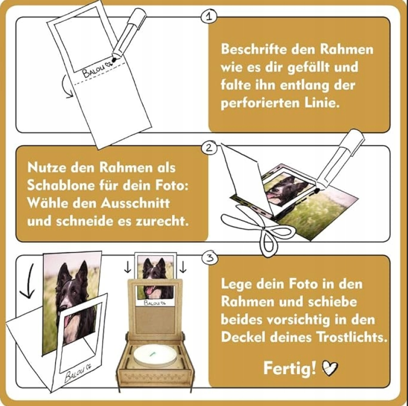 1934251-2.webp