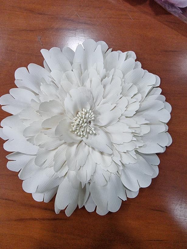 2560799-0.webp