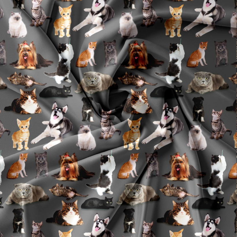 2973288-0.webp