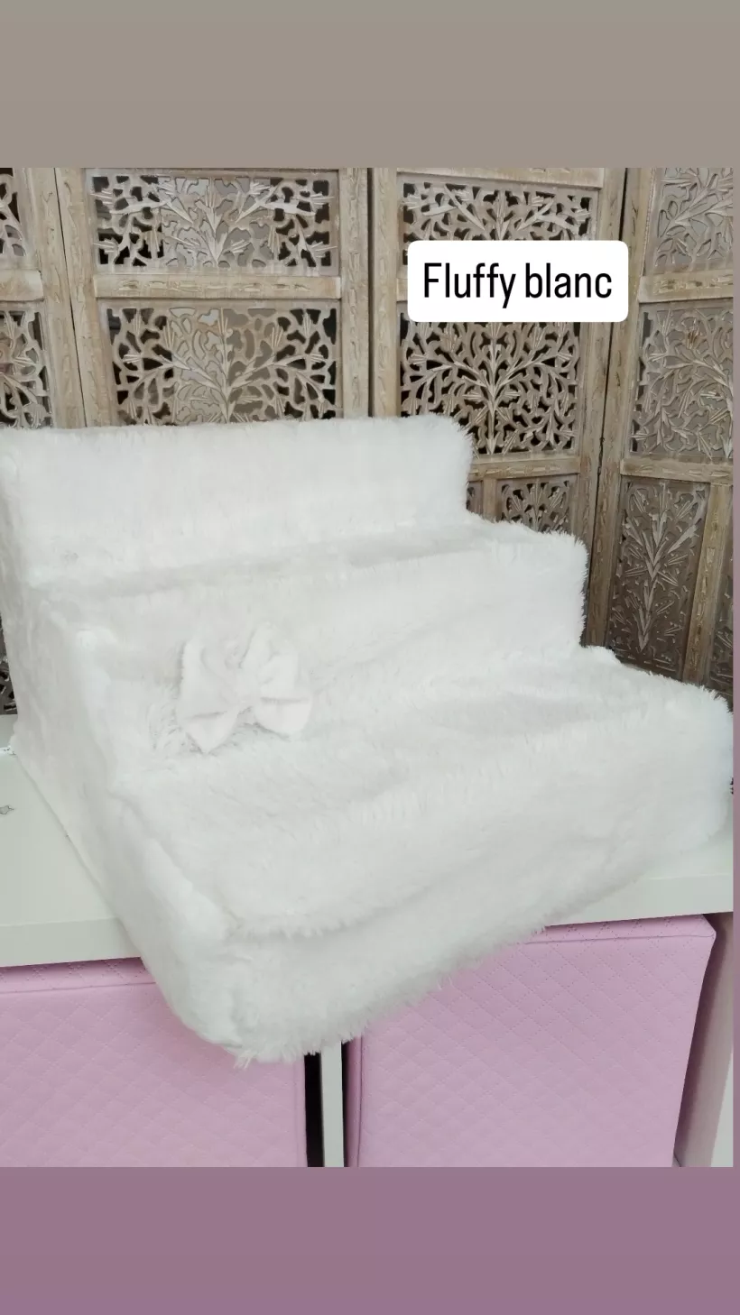 3210937-4.webp