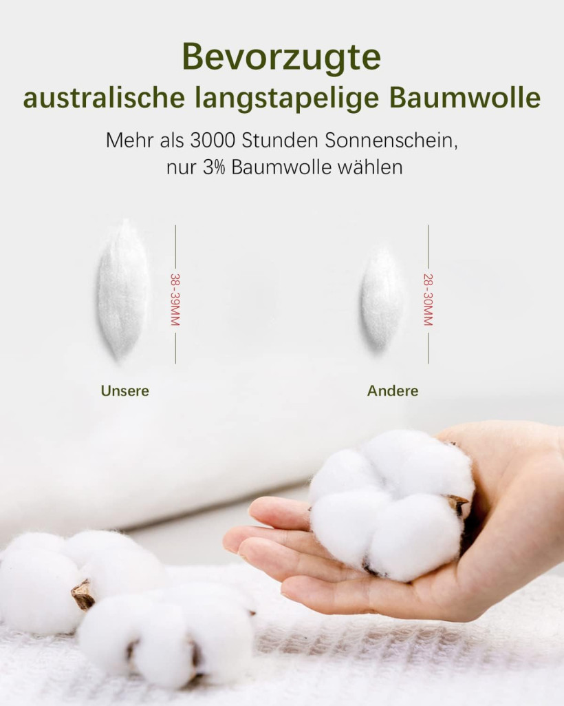 3217778-2.webp