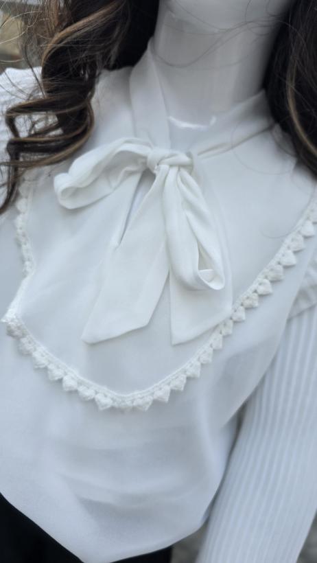 3619178-1.webp