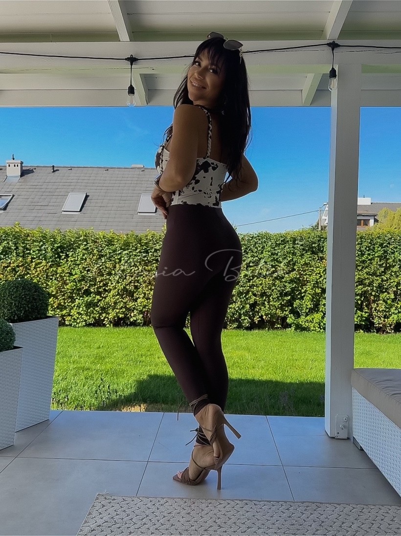 3678796-1.webp