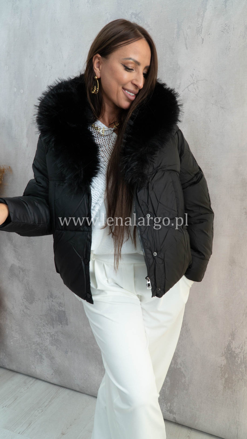 3972516-4.webp