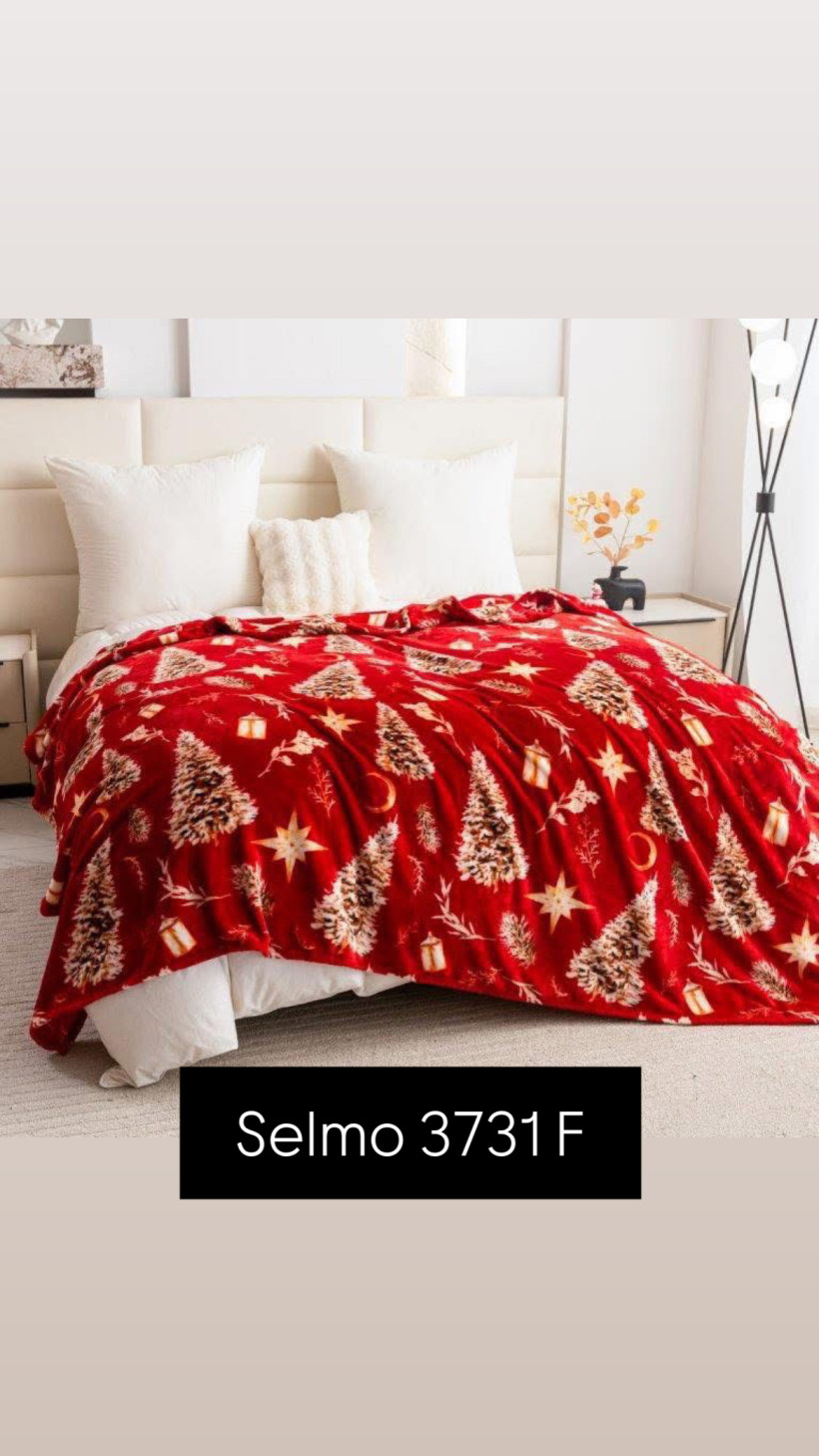4020759-5.webp