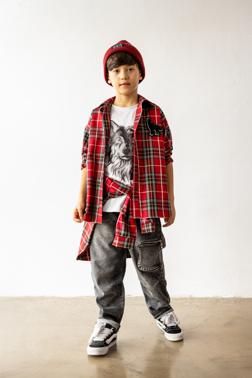 4302649-2.webp