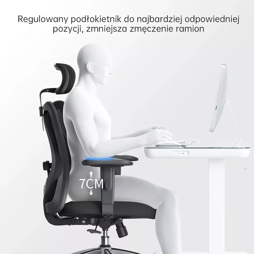 613285-4.webp